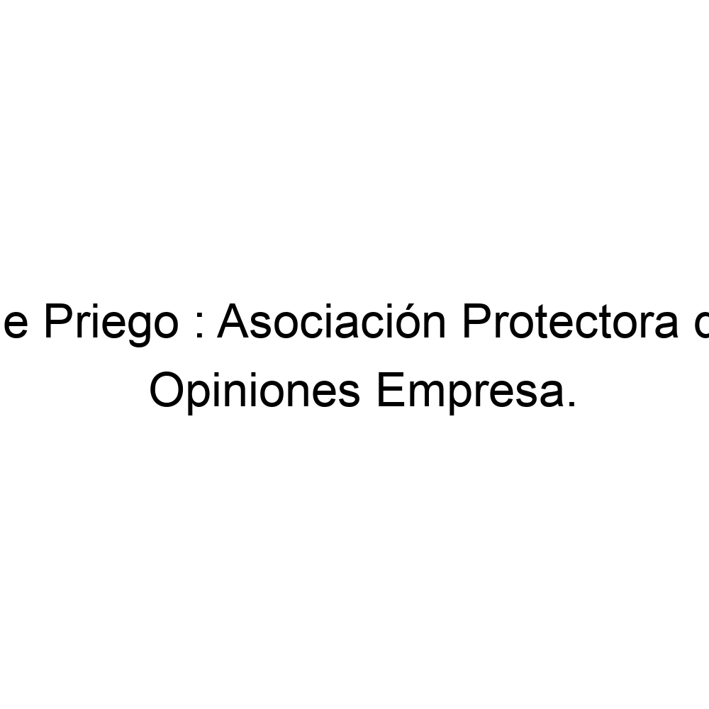 montar Recuerdo salud Opiniones Mascotas de Priego : Asociación Protectora de Animales, Priego de  Córdoba ▷ 957701727